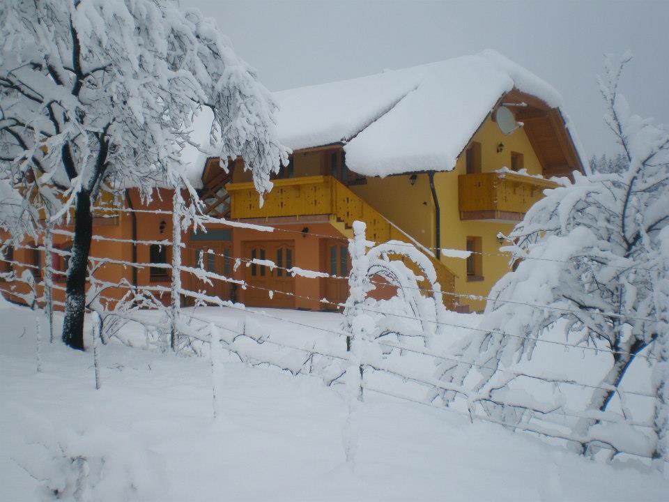 Apartment Beli Zajec Mozirje Exterior photo